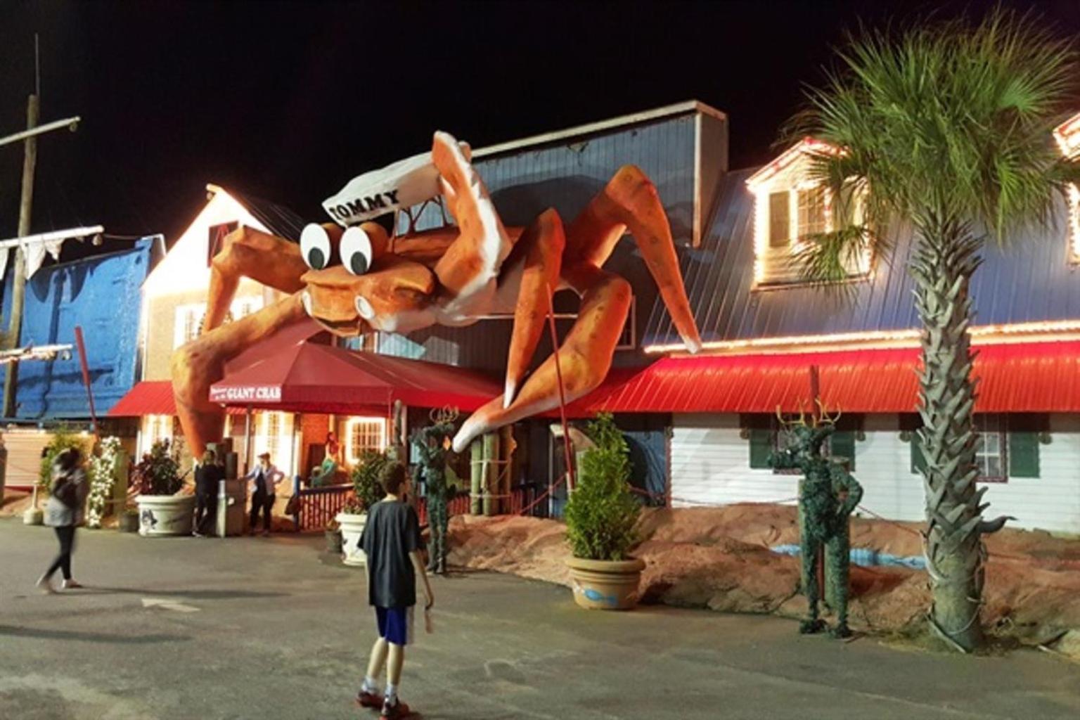 Ocean Annie'S Oceanview Studio,Scenic Views,Pools! Myrtle Beach Exterior foto